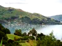 akaroa.jpg